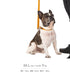MANDARINE BROTHERS クラシックリード/CLASSIC LEASH